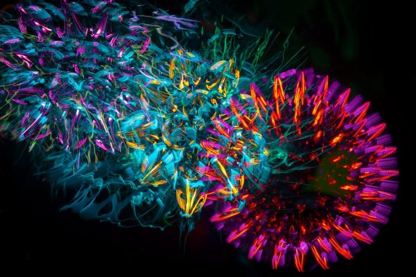 Colorful abstract light patterns with vibrant neon hues on a black background. – Pulsar X2N Crazylight Mini Gaming Mouse Review